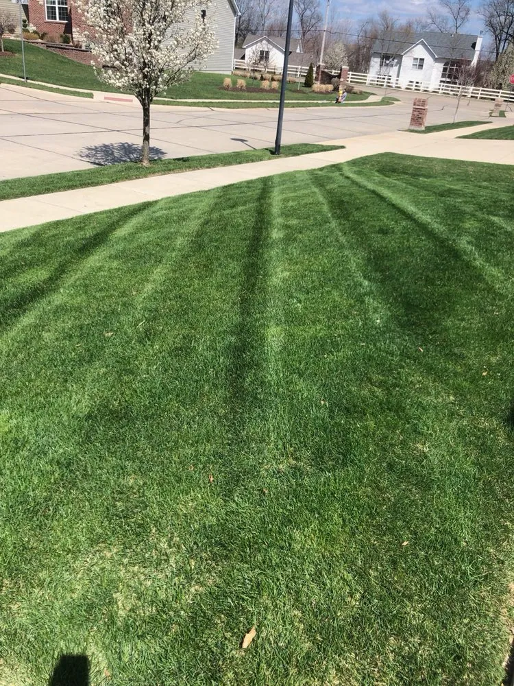 Affordable outdoor landscaping in Saint Peters, MO by Home Grown Handyman