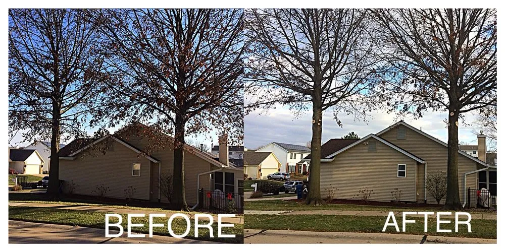 Custom landscape design in Saint Peters, MO by Home Grown Handyman