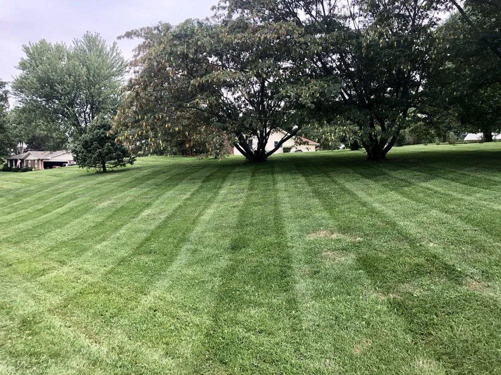 Local residential landscaping for outdoor upgrades in Saint Peters, MO by Home Grown Handyman