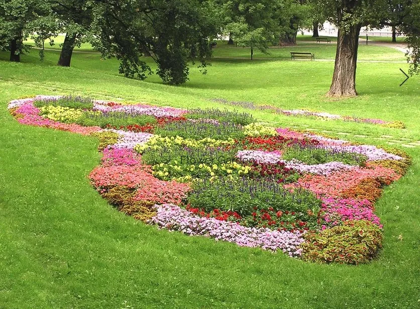 Affordable landscaping services for beautiful yards across Nampa, ID - Home Grown Landscaping & maintenance