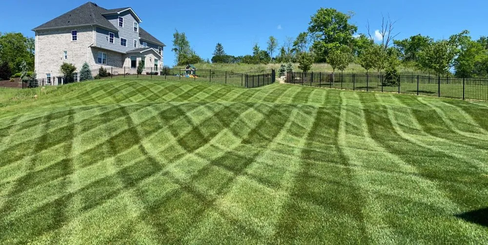 Reliable lawn care service in Coraopolis, PA - Home Grown LawnCare