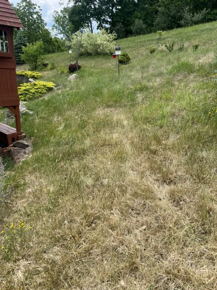 Custom garden landscaping with custom design in Coraopolis, PA by Home Grown LawnCare