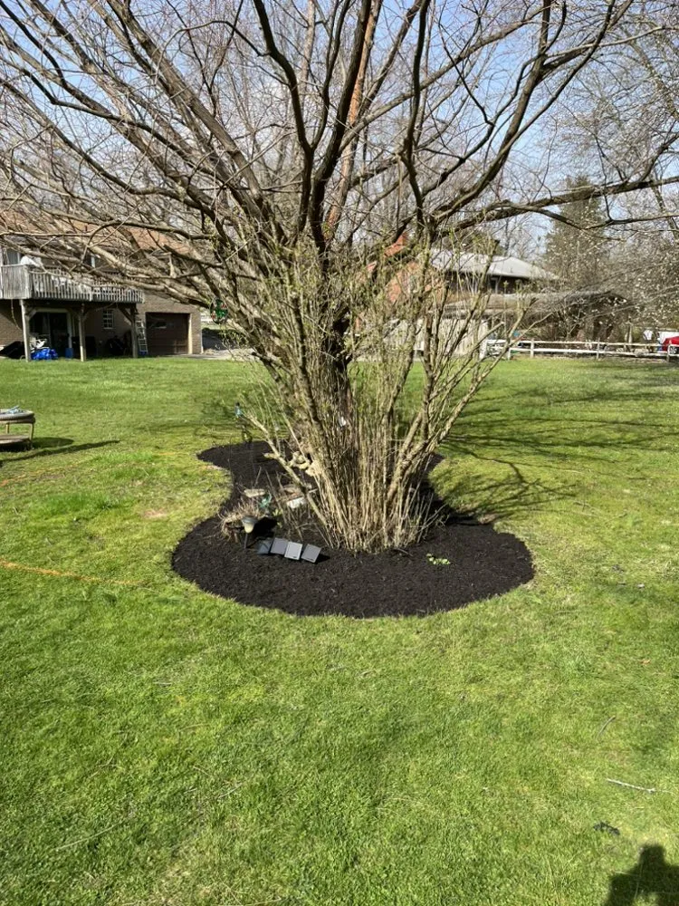 Custom yard cleanup service in Coraopolis, PA - Home Grown LawnCare