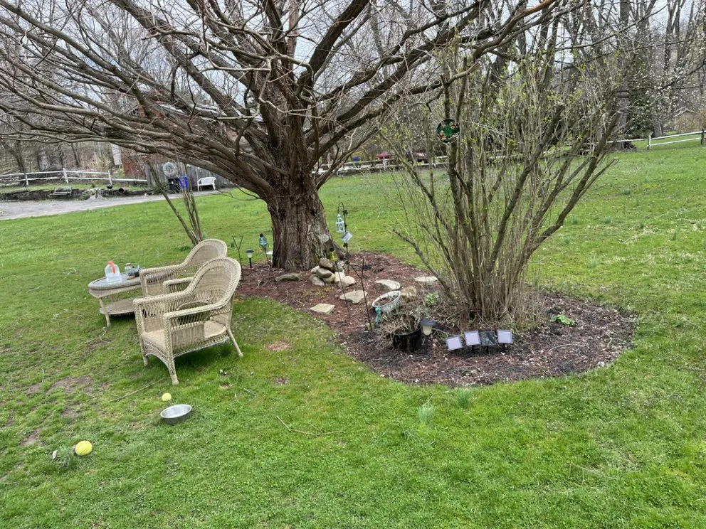 Trusted yard maintenance experts serving Coraopolis, PA - Home Grown LawnCare