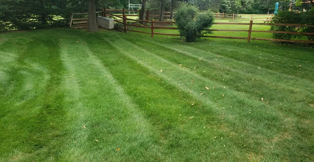 Top-rated lawn mowing service with custom design in Grand Blanc, MI by Home Grown Property Management