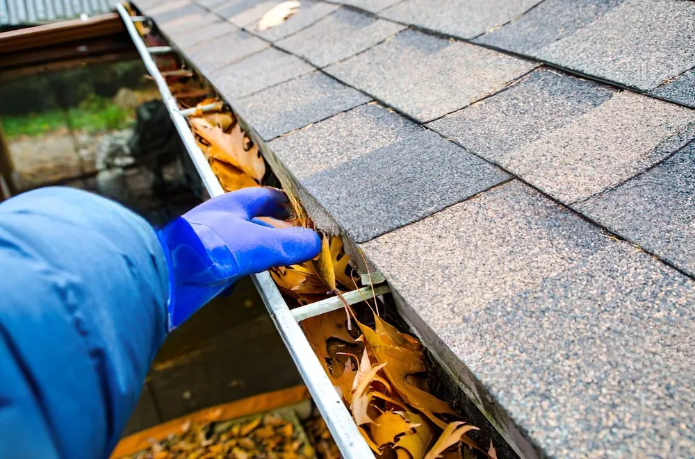 Trusted yard cleanup service in Kansas City, MO - Home Guardian