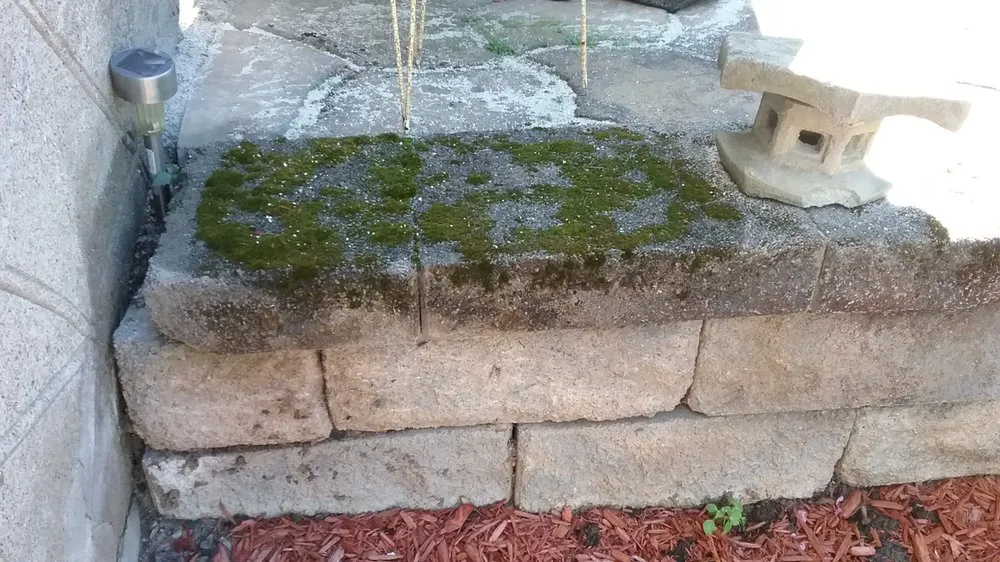 Professional residential landscaping in West Haven, CT - Home Help Network