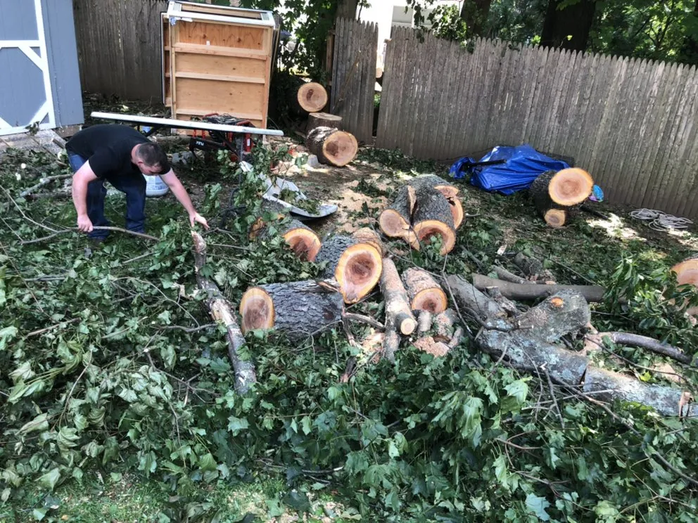 Expert landscaping services for beautiful yards across West Haven, CT - Home Help Network