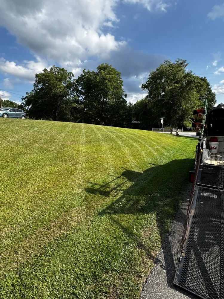 Expert yard cleanup service in Greenville, SC by Home Heroes Solutions