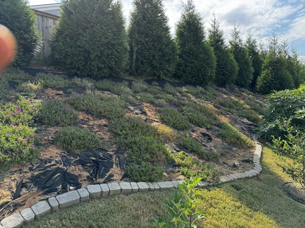 Affordable lawn mowing service experts serving Greenville, SC - Home Heroes Solutions