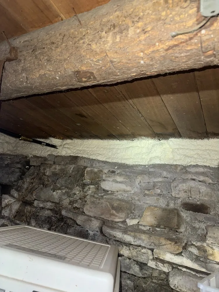 Trusted yard maintenance in Niagara Falls, NY - Home Improvements & Energy Efficiency