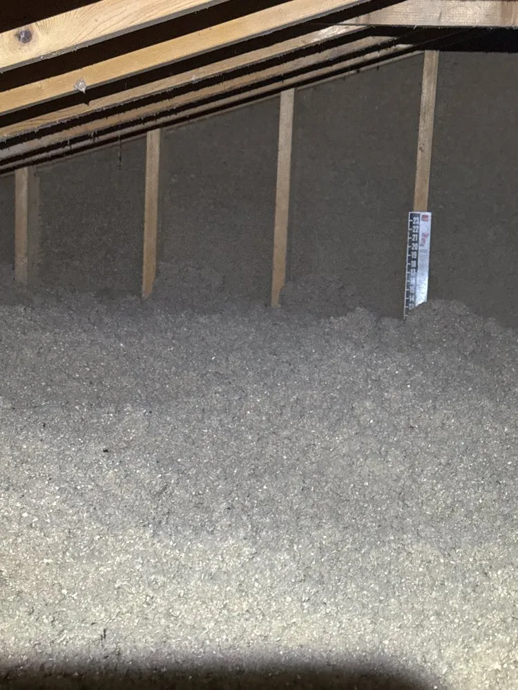 Affordable yard cleanup service near you across Niagara Falls, NY - Home Improvements & Energy Efficiency