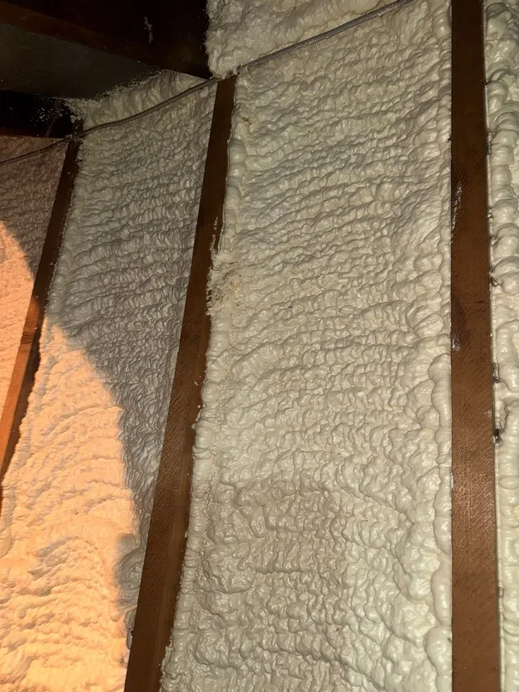 Professional landscaping services in Niagara Falls, NY by Home Improvements & Energy Efficiency