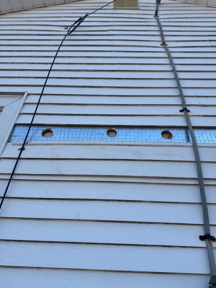 Affordable yard cleanup service experts serving Niagara Falls, NY - Home Improvements & Energy Efficiency