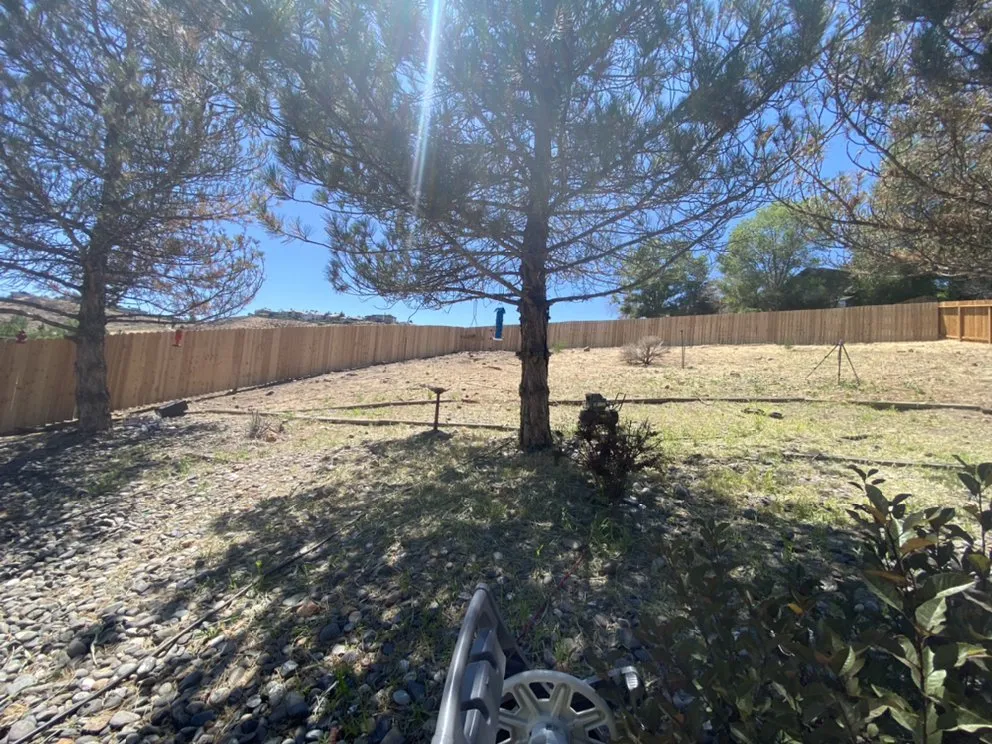 Top-rated lawn mowing service near you across Carson City, NV - Home Integrity