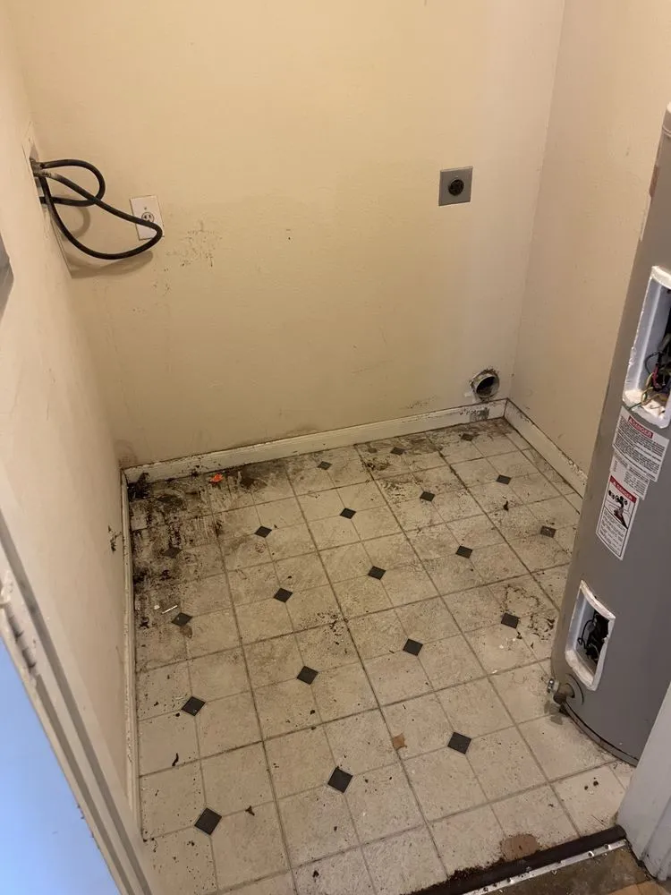 Expert yard maintenance experts serving Newark, OH - Home Lands Improvements