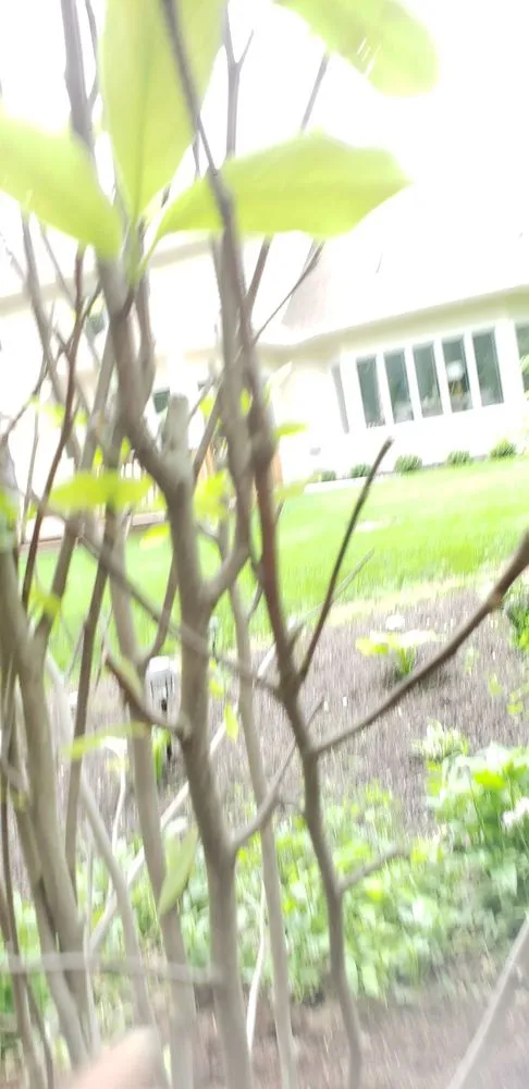 Professional landscape installation for year-round maintenance in Bolingbrook, IL by Home Landscape Materials