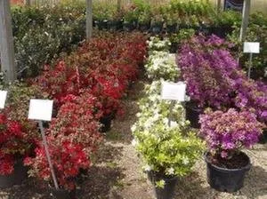 Expert residential landscaping in Bolingbrook, IL by Home Landscape Materials