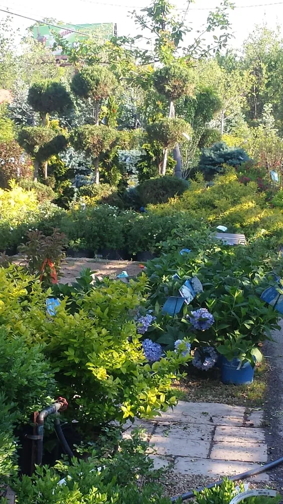 Reliable lawn mowing service in Bolingbrook, IL - Home Landscape Materials