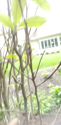 Home Landscape Materials