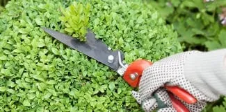 Top-rated lawn mowing service in Seven Valleys, PA - Home Landscaping