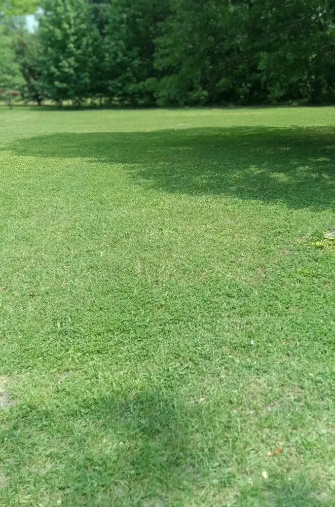 Top-rated landscaping services in Sumter, SC - Home Lawn Solution