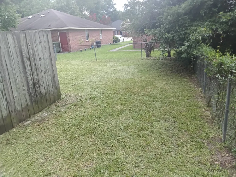 Top-rated yard cleanup service for beautiful yards across Sumter, SC - Home Lawn Solution