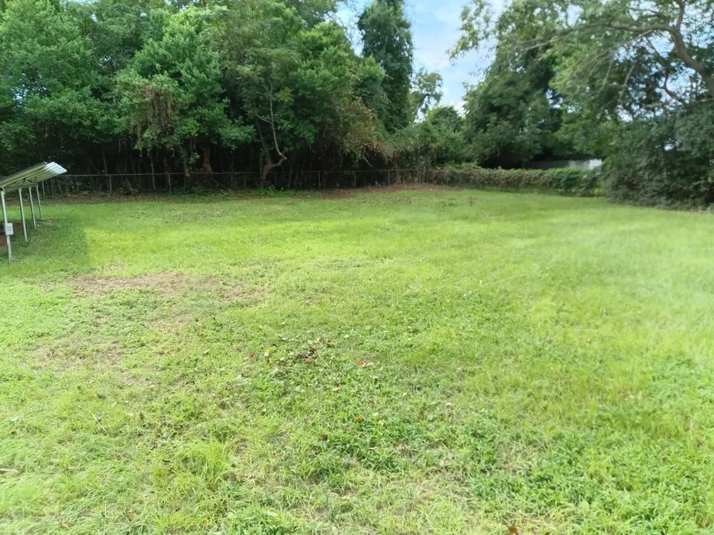 Professional yard cleanup service experts serving Sumter, SC - Home Lawn Solution