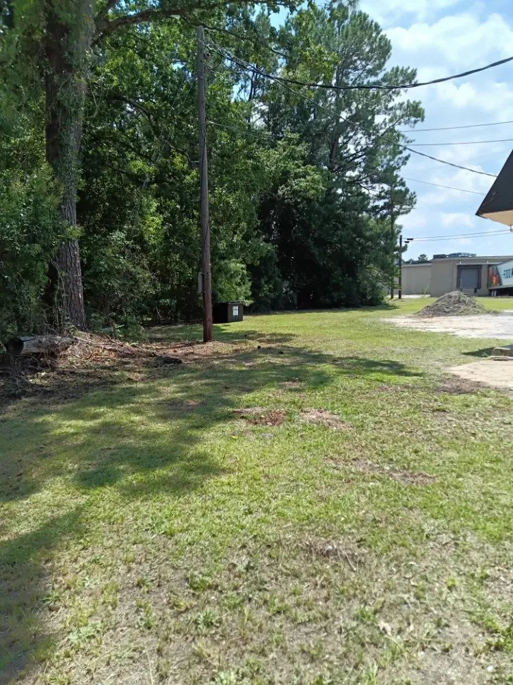 Reliable residential landscaping in Sumter, SC by Home Lawn Solution