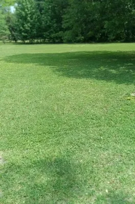 Home Lawn Solution Logo