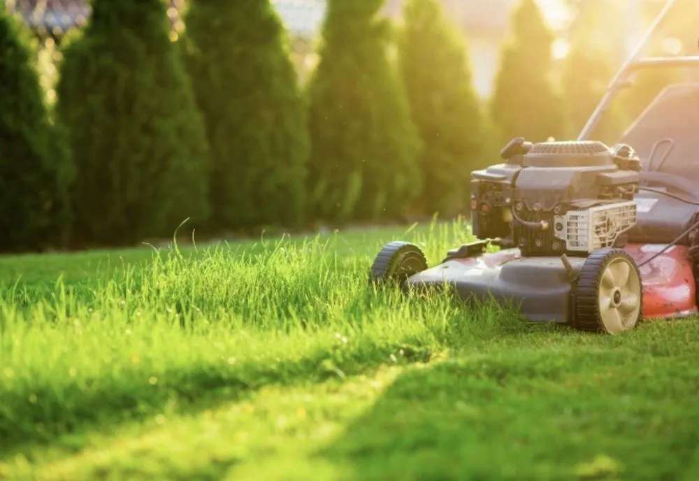 Reliable landscape design experts serving Stockton, CA - Home Maintenance by Frank