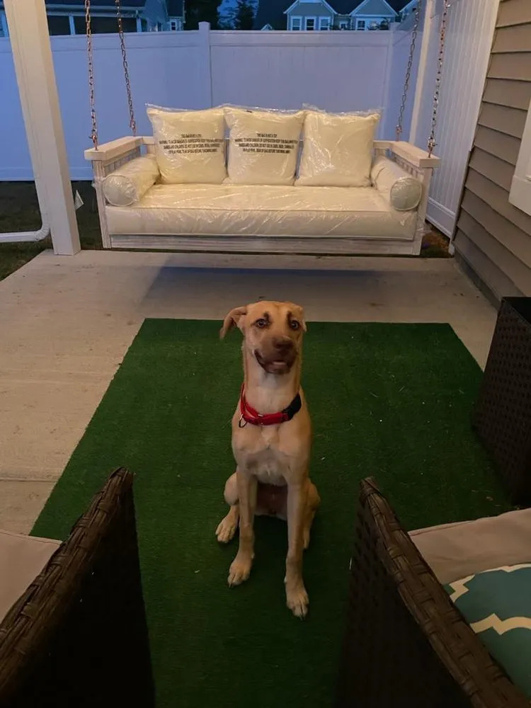 Trusted yard maintenance experts serving Glen Allen, VA - Home Maintenance Management