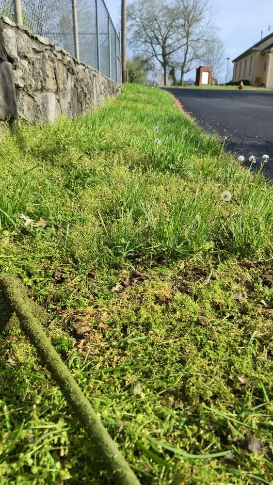 Expert landscape installation for beautiful yards across Ashland City, TN - Home Maintenance Plus