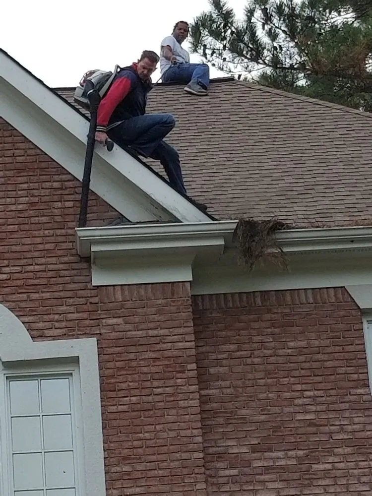 Custom lawn care service in Gate City, VA - Home Maintenance Services