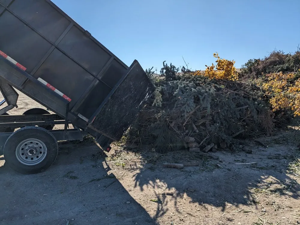 Custom yard cleanup service experts serving Nampa, ID - Home Maintenance Services