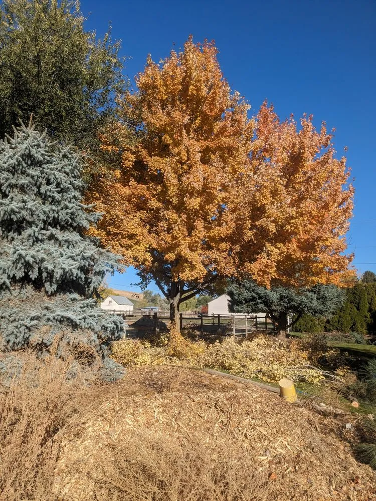 Top-rated landscape design in Nampa, ID - Home Maintenance Services