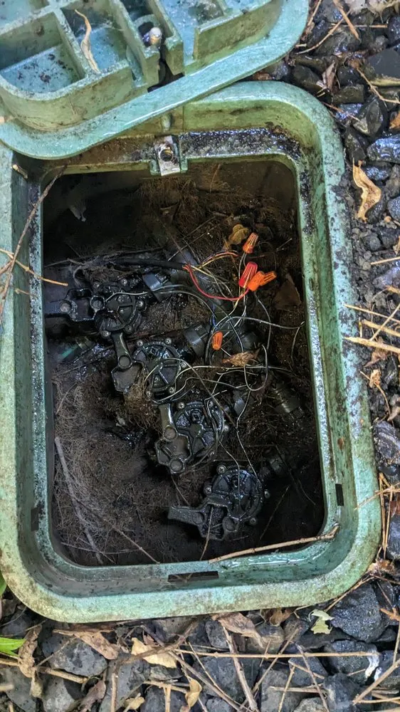 Affordable landscaping services in Nampa, ID - Home Maintenance Services