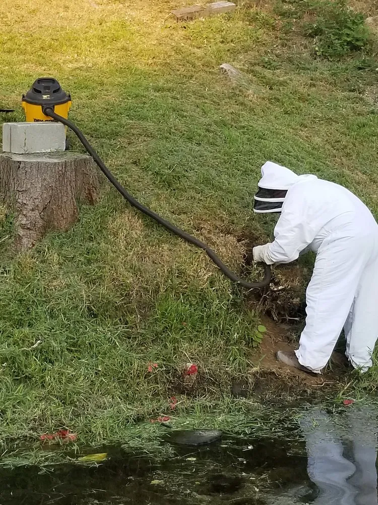 Trusted landscaping services in Miami, FL by Home Pest Control Of Miami