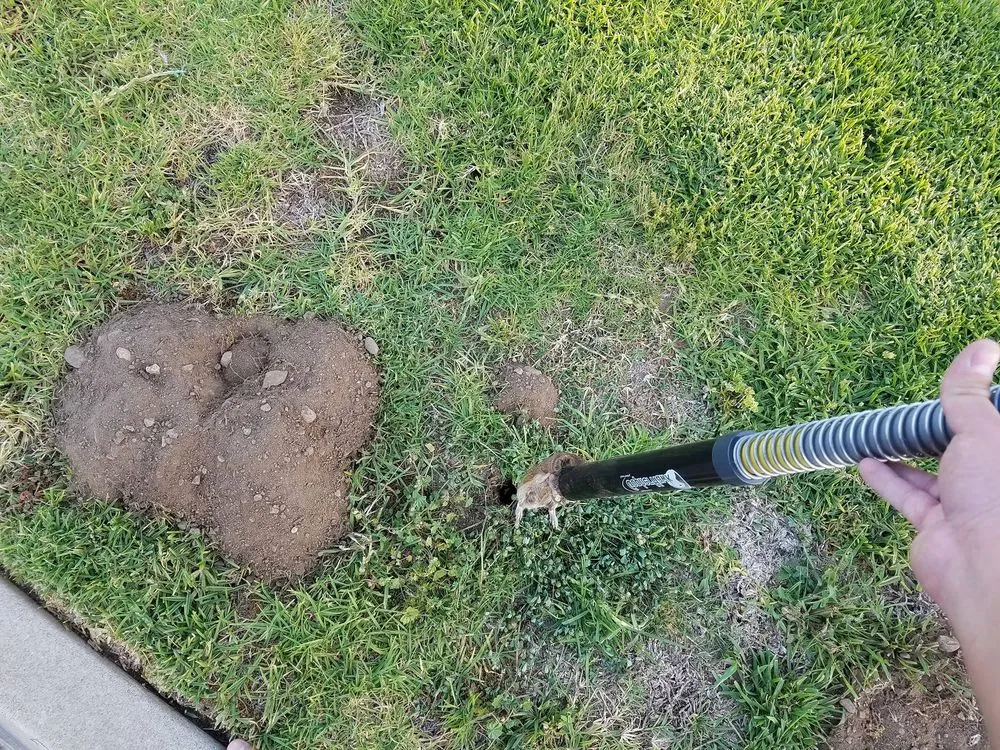 Reliable yard maintenance near you in Miami, FL by Home Pest Control Of Miami