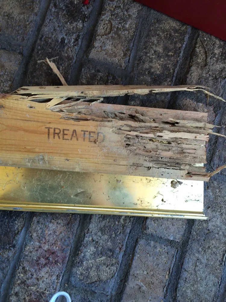 Custom yard cleanup service in Miami, FL by Home Pest Control Of Miami