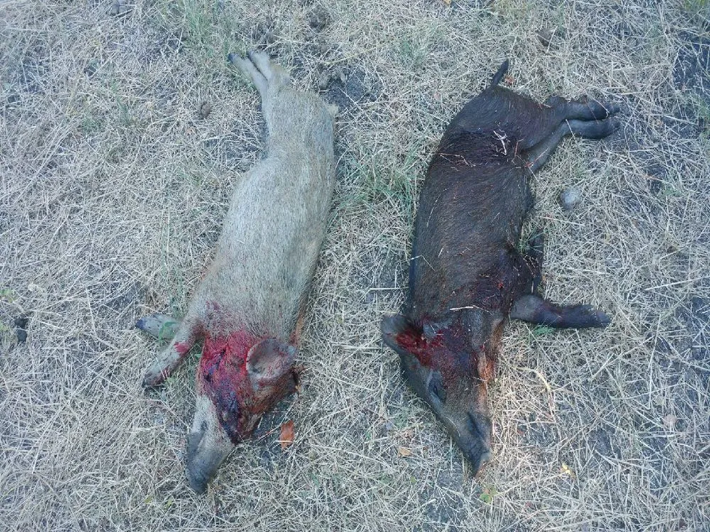 Custom landscaping services in Miami, FL by Home Pest Control Of Miami