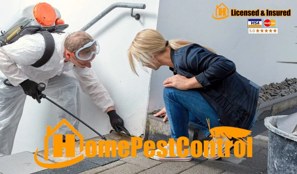 Custom yard maintenance in Miami, FL by Home Pest Control Of Miami