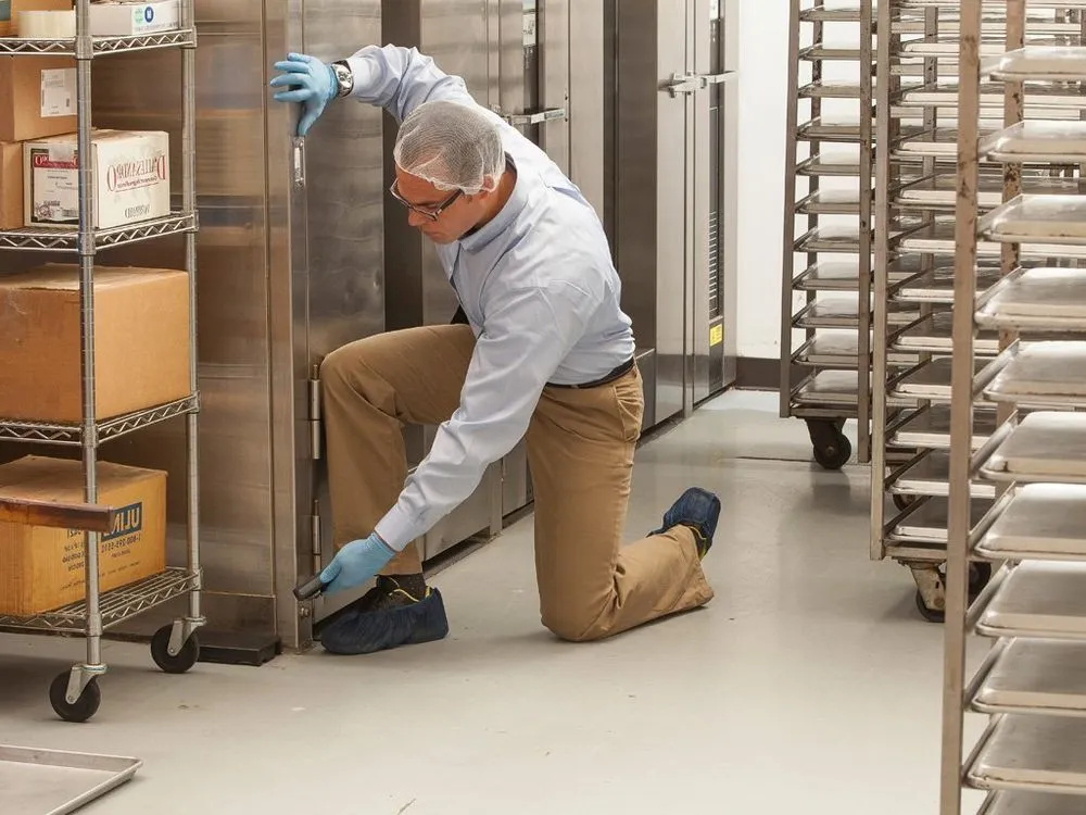 Expert yard cleanup service experts serving Miami, FL - Home Pest Control Of Miami