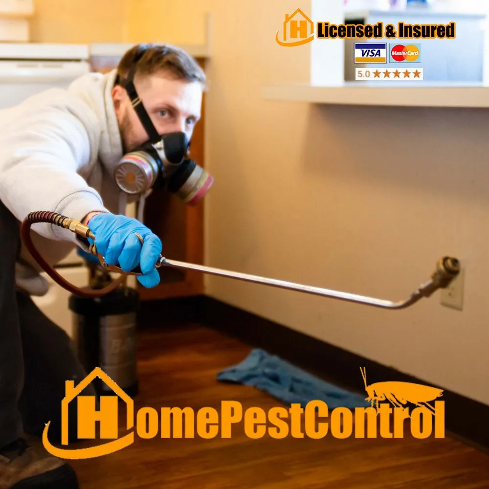 Local landscaping services in Miami, FL - Home Pest Control Of Miami