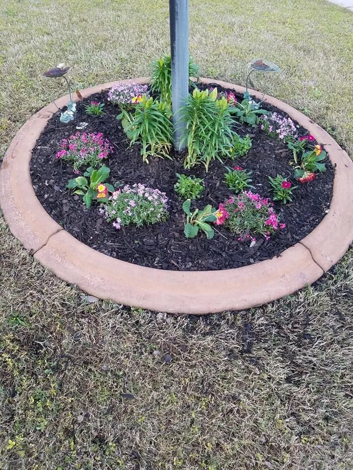 Local residential landscaping experts serving Augusta, GA - Home Pro Services