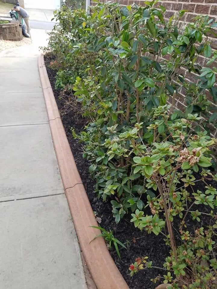 Local landscaping services for homes in Augusta, GA by Home Pro Services