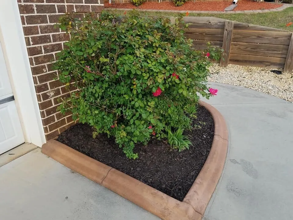 Expert lawn care service in Augusta, GA by Home Pro Services