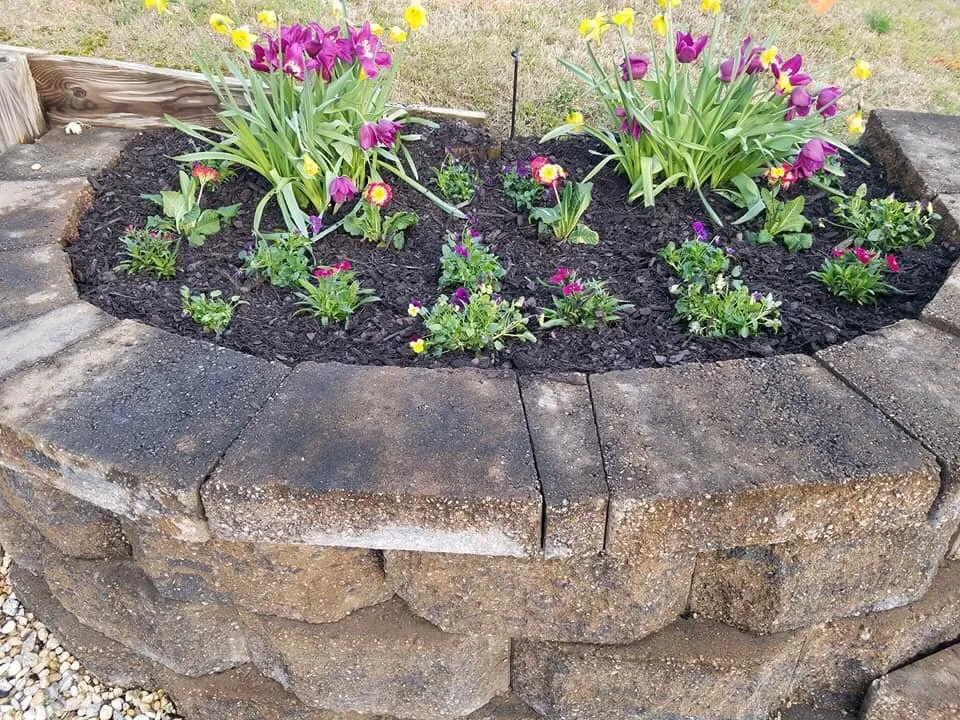 Local landscaping services experts serving Augusta, GA - Home Pro Services