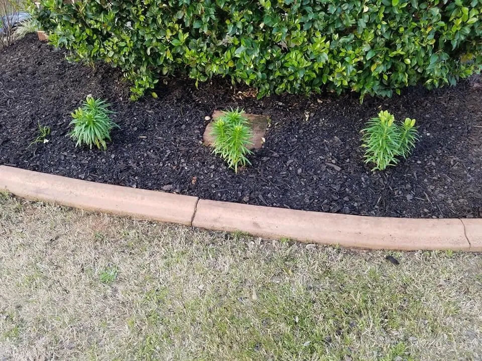 Top-rated lawn care service experts serving Augusta, GA - Home Pro Services