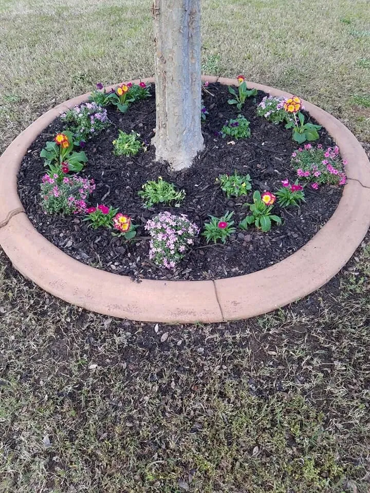 Local lawn mowing service in Augusta, GA - Home Pro Services